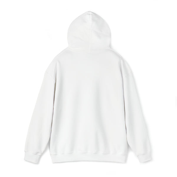 FRDM rainbow Hoodie (Unisex)