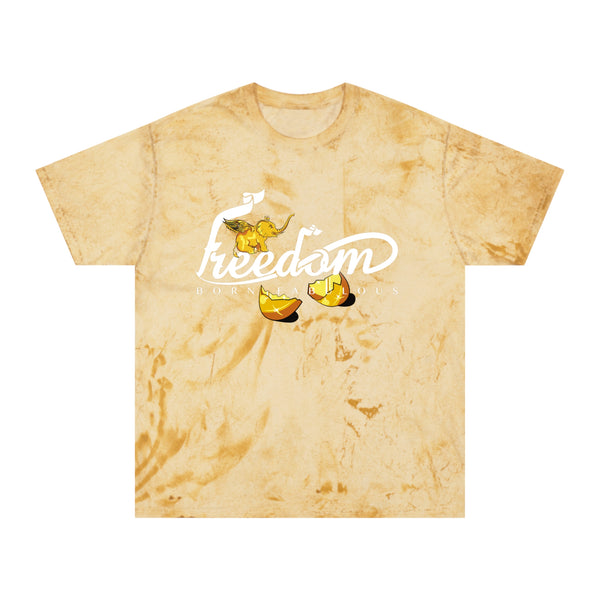 Unisex Color Blast T-Shirt
